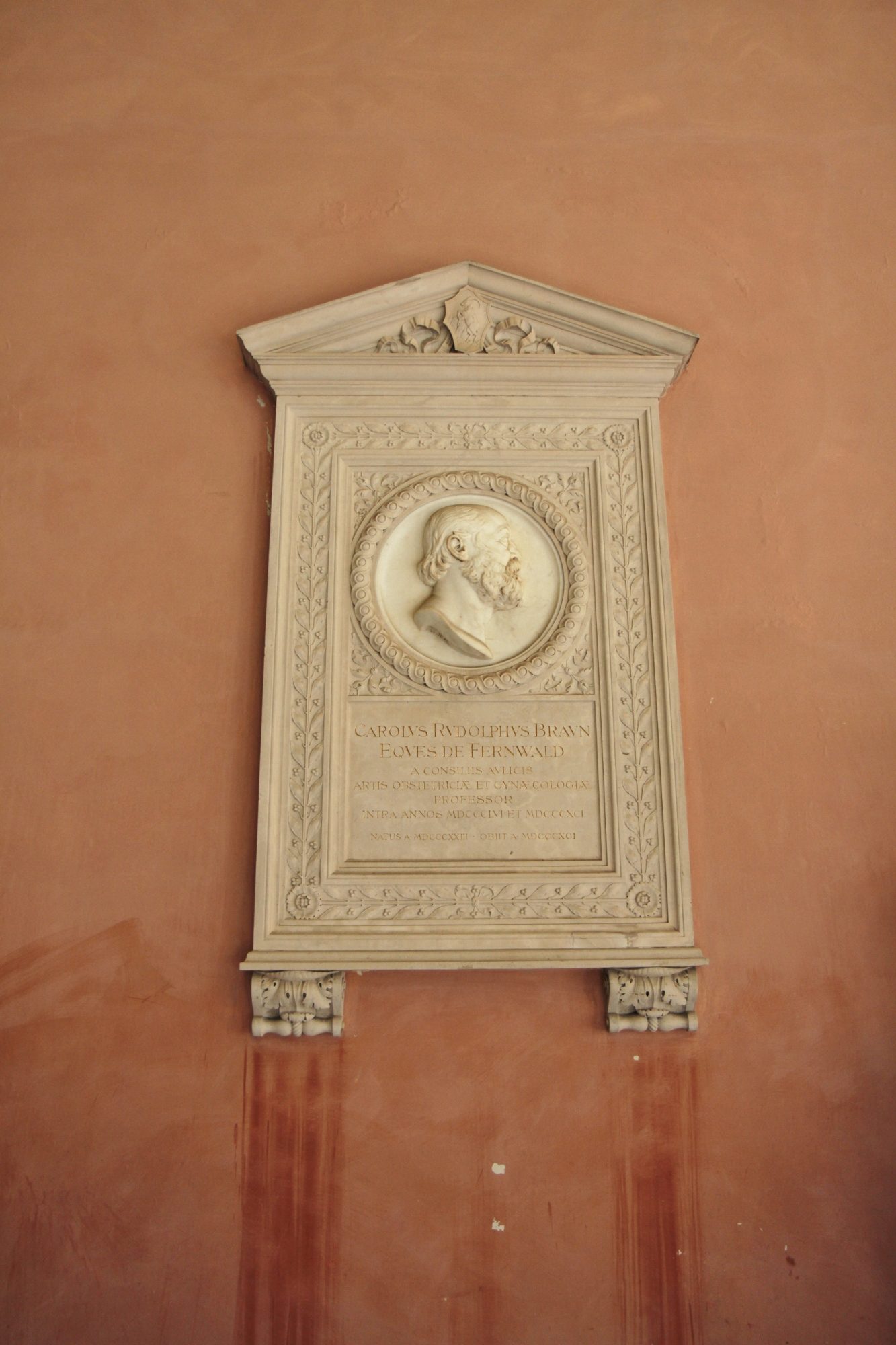 Carl Braun's bust, Medical monuments, UNI Vienna.jpg